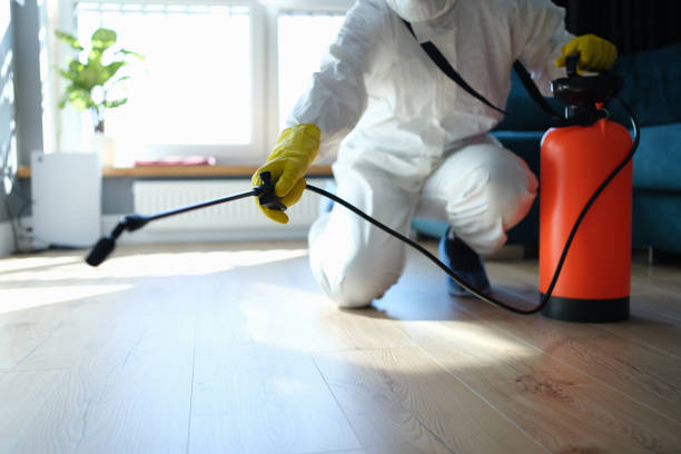 Reliable Odor Removal contractor in Leesburg, VA by Trauma Clean Pros